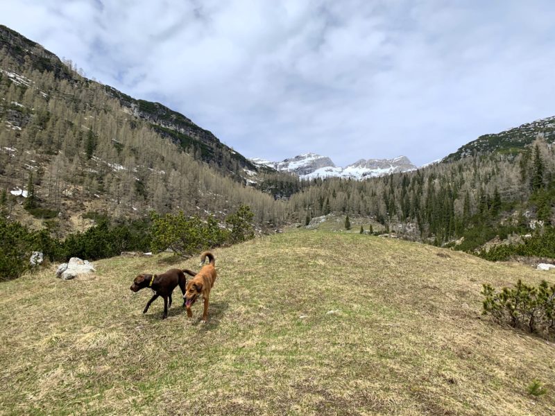 Our Favoured One-day Round Tour To The Triglav Lakes - Exploring Slovenia