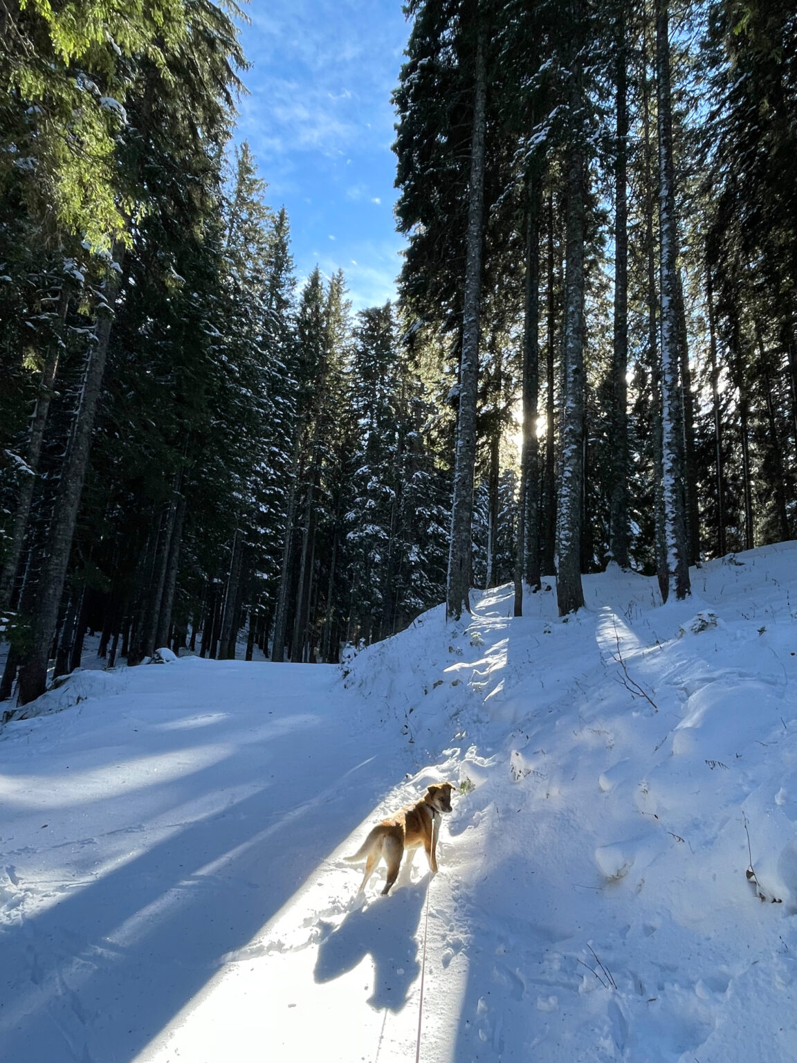 Slovenia in winter - Exploring Slovenia